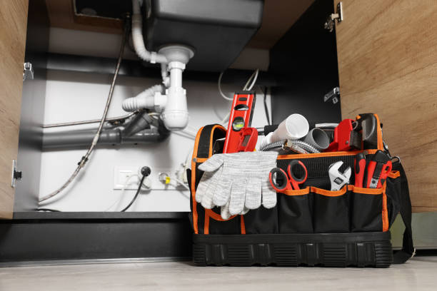 Best Clogged Drain Plumber  in Mino, CA